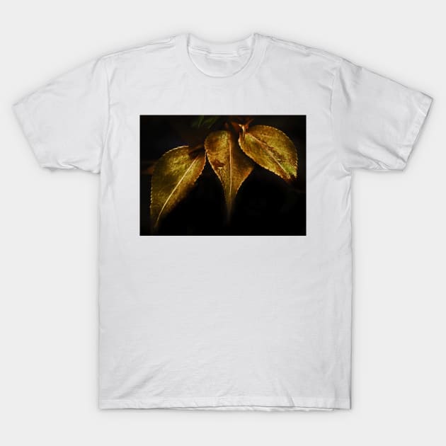 gold vine leaves T-Shirt by lastgasp